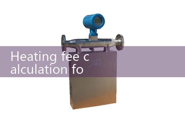 Ultrasonic flowmeter manufacturer