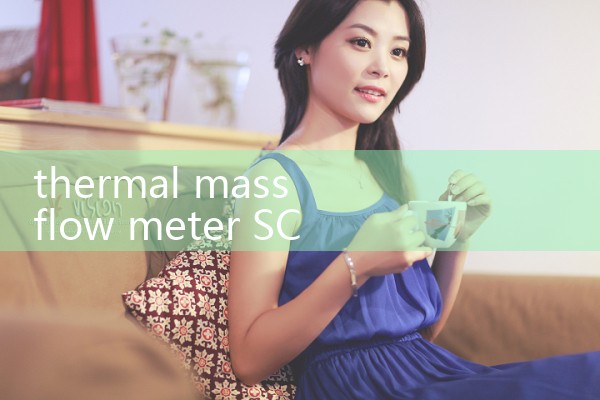 thermal mass flow meter SCFM|turbine flow meter