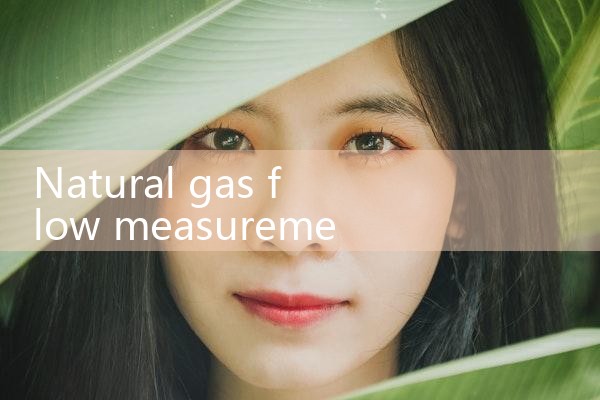 air mass meter|turbine flow meter