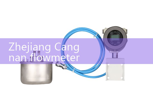 Zhejiang Cangnan flowmeter