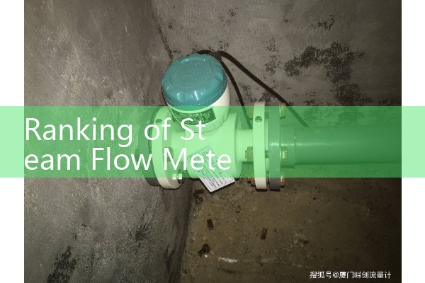 Ranking of Steam Flow Meter Brands