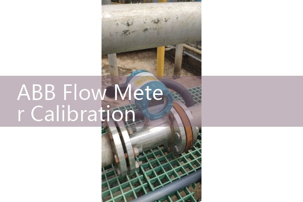 Flow meter inspection