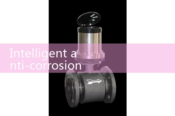 Intelligent anti-corrosion electromagnetic flowmeter
