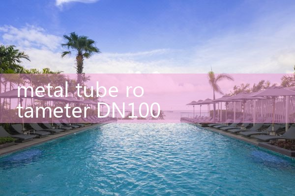 metal tube rotameter DN100|turbine flow meter