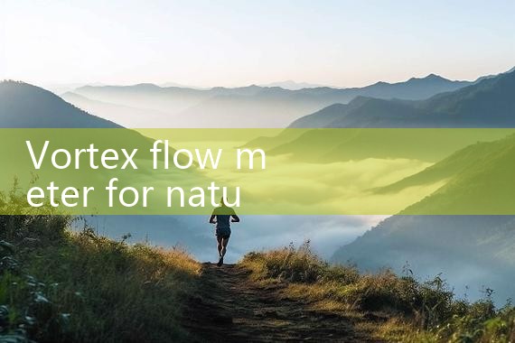 vortex flow meter for natural gas|digital flow meter