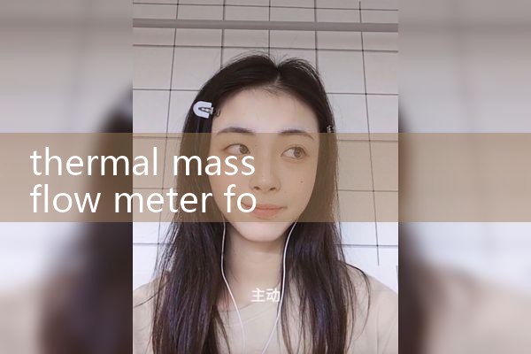 thermal mass flow meter for instrument air|turbine flow meter