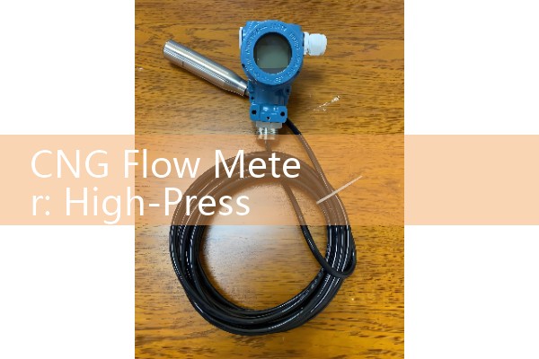 CNG Flow Meter: High-Pressure Compressed Natural Gas Mass Custody Transfer
