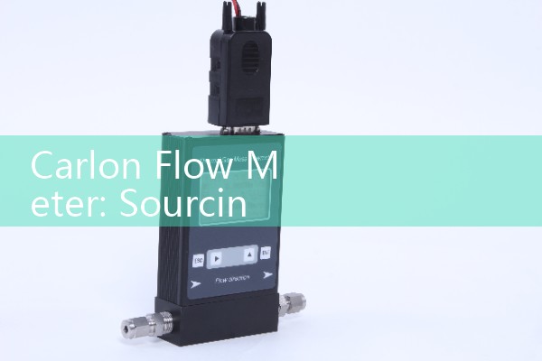 Carlon Flow Meter: Sourcing Industrial and Commercial Utility Water Mains
