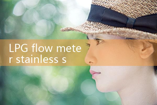 LPG flow meter stainless steel|digital flow meter