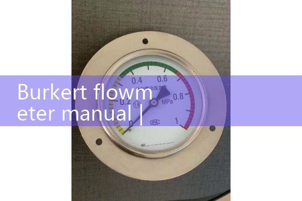 Burkert flowmeter manual