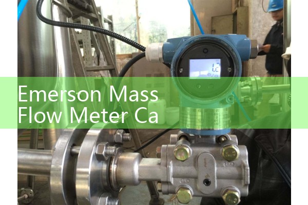 Emerson Mass Flow Meter Catalogue Overview: High-Precision Liquid and Gas Density Meters