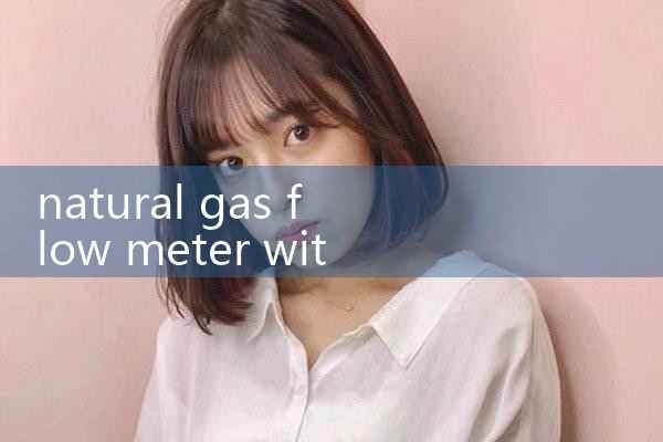 natural gas flow meter with pressure compensation|digital flow meter