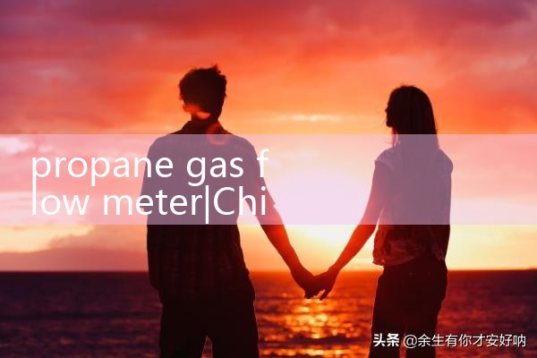 propane gas flow meter|digital flow meter