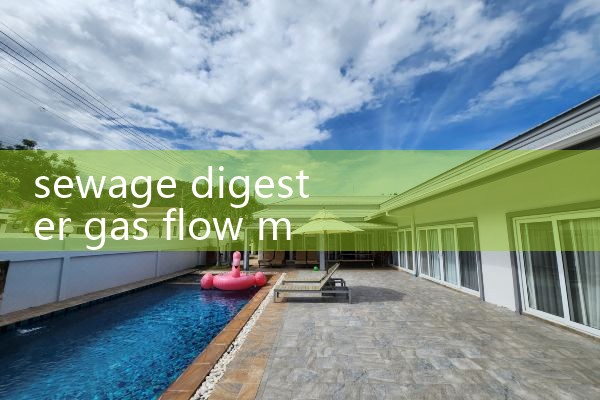 sewage digester gas flow meter|digital flow meter