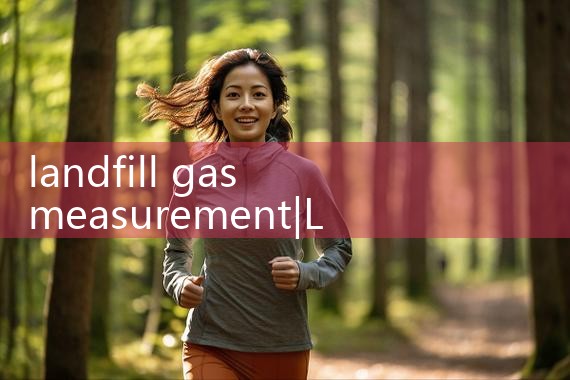 landfill gas measurement|digital flow meter