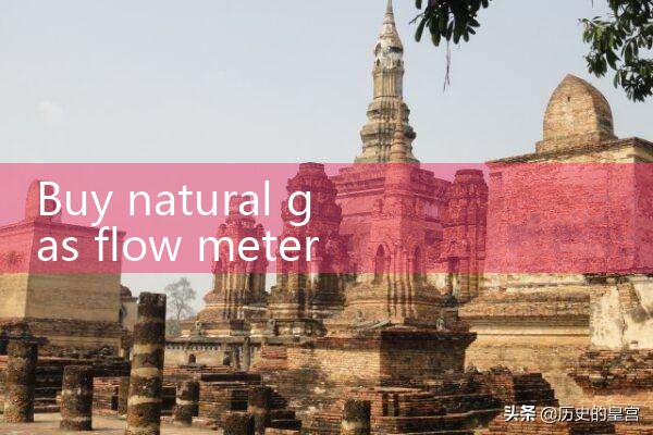 buy natural gas flow meter|digital flow meter