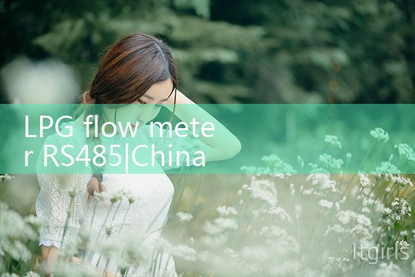 LPG flow meter RS485|digital flow meter