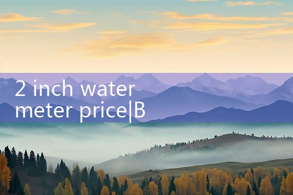2 inch water meter price|turbine flow meter