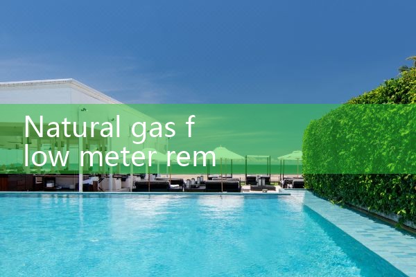 natural gas flow meter remote type|digital flow meter