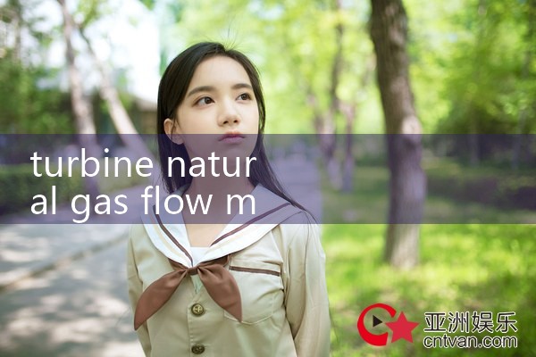 turbine natural gas flow meter|digital flow meter