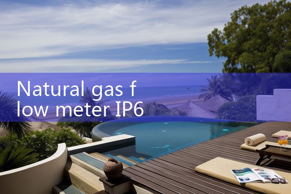 natural gas flow meter IP67|digital flow meter