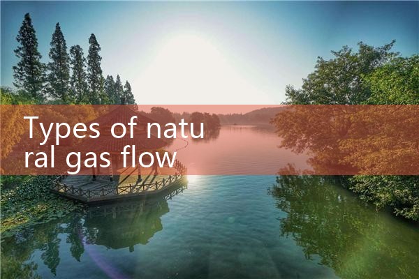 types of natural gas flow meters|digital flow meter