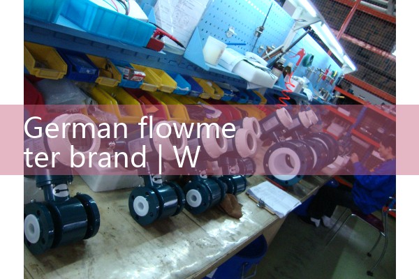 German flowmeter brand
