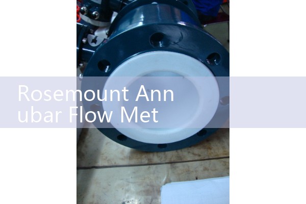 Rosemount Annubar Flow Meter: Averaging Pitot Tube Multi-Port Elements