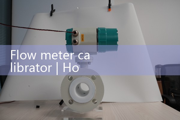 Flow meter calibrator
