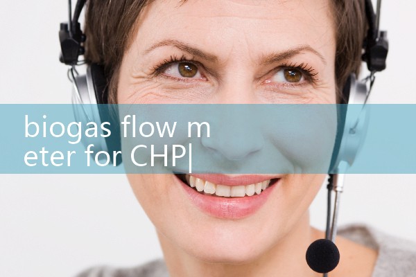 biogas flow meter for CHP|digital flow meter