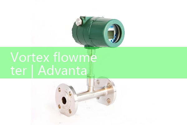 Vortex flowmeter