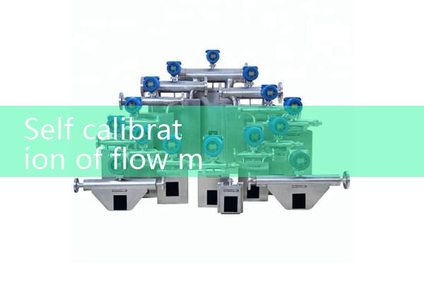 Flow meter self calibration