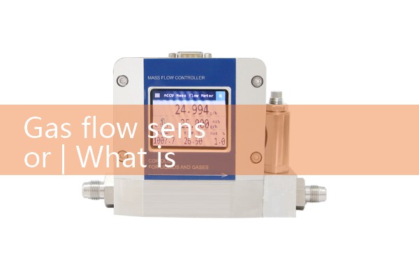 gas flow sensor|heat flow meter