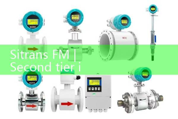 sitrans fm|gas flow meter